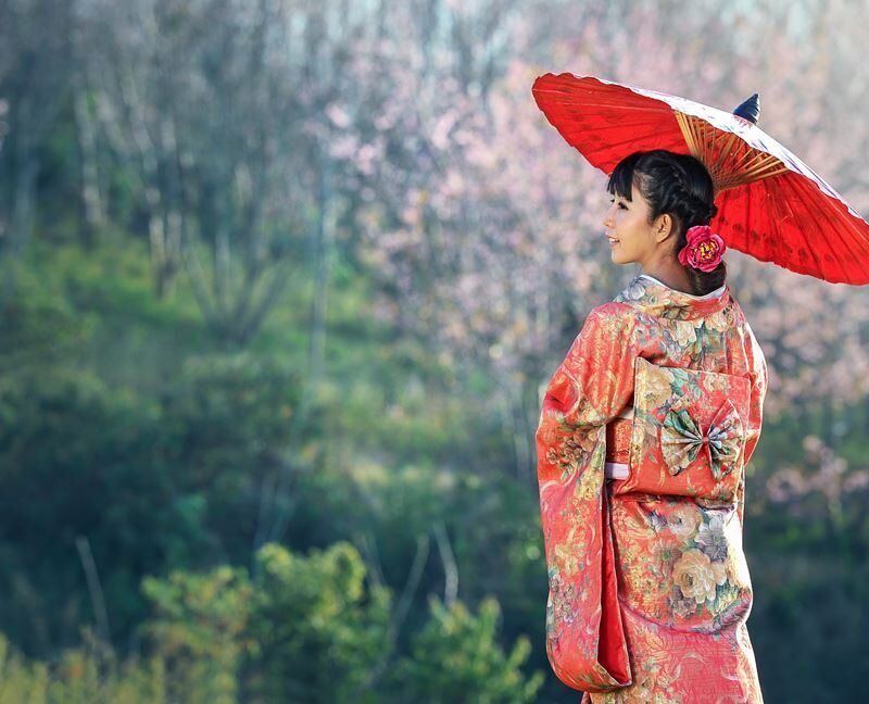 Japonsko: Cesta do země samurajů. gejš a zeleného čaje