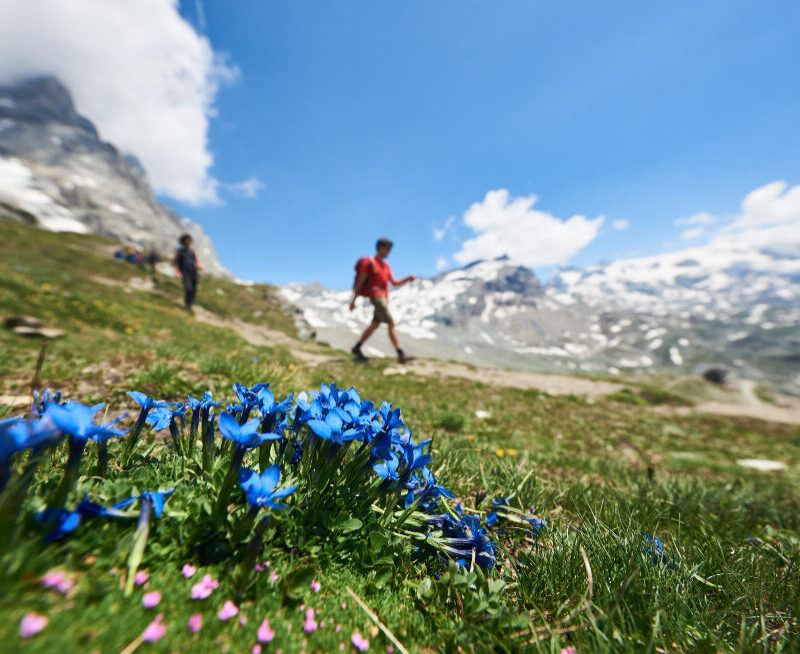 Kouzelná Silvretta: Lanovkami za výhledy