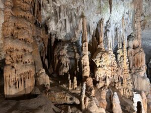 Fotografie z recenze