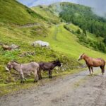 Fotografie z recenze