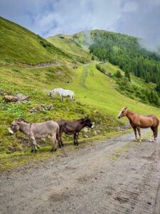 Fotografie z recenze