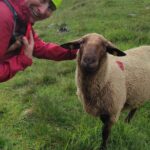 Fotografie z recenze