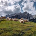 Fotografie z recenze