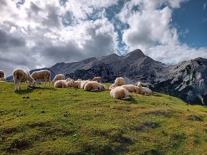 Fotografie z recenze