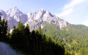 Fotografie z recenze