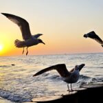 Fotografie z recenze