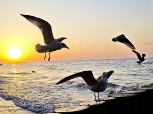 Fotografie z recenze