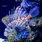 Fotografie z recenze