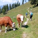 Fotografie z recenze