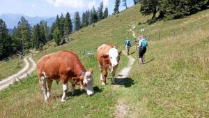 Fotografie z recenze