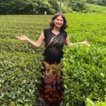 Průvodce Pavla Štěpánová