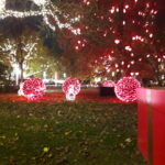 Fotografie z recenze