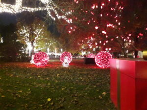 Fotografie z recenze