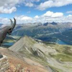 Fotografie z recenze