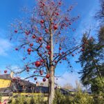 Fotografie z recenze