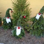 Fotografie z recenze