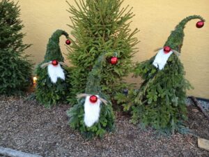 Fotografie z recenze