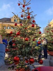 Fotografie z recenze