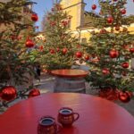 Fotografie z recenze