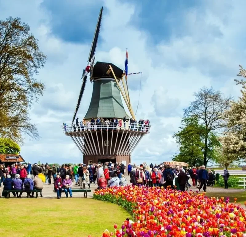 Květinové korzo: Za tulipány do Holandska