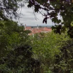 Fotografie z recenze