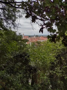 Fotografie z recenze