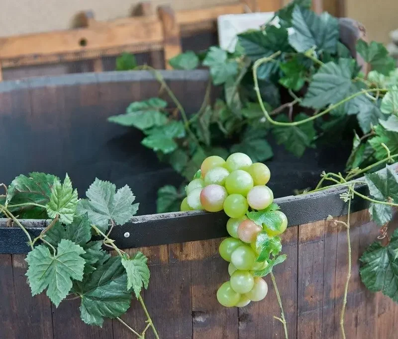 Slovácké slavnosti vína