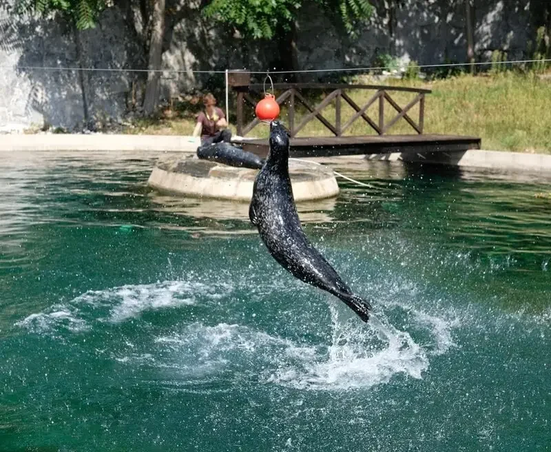 ZOO Wroclaw a Hydropolis