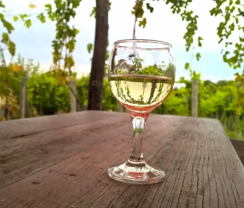 Vinobraní v Tokaji: Budapešť a termály