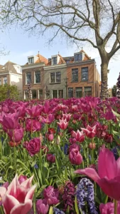 Fotografie z recenze