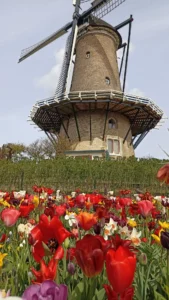 Fotografie z recenze