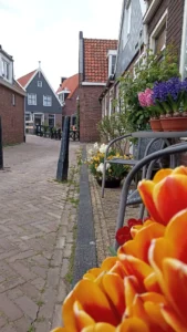 Fotografie z recenze