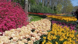 Fotografie z recenze