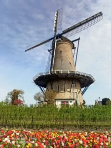 Fotografie z recenze